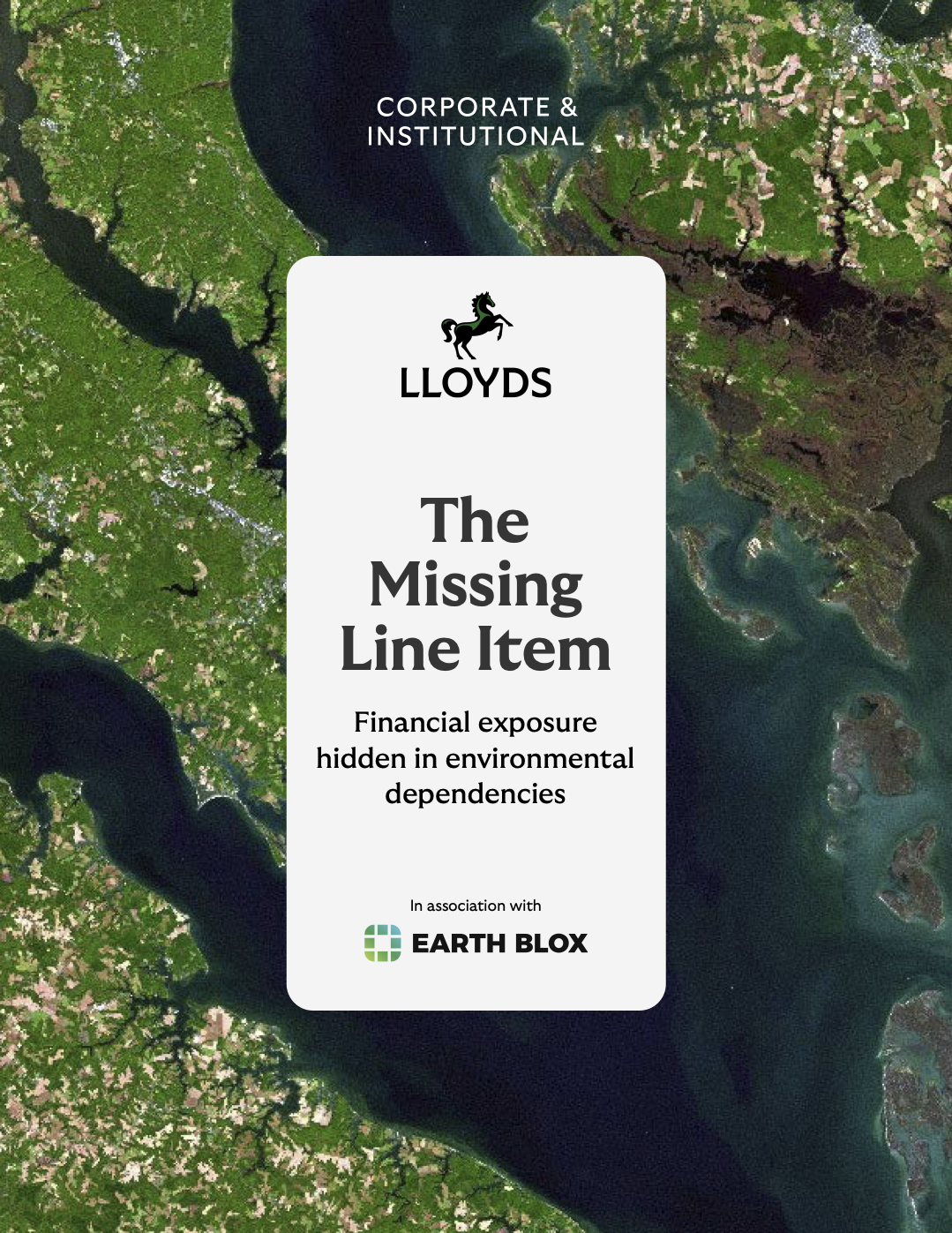 The Missing Line Item: Financial hidden exposure in environmental dependencies