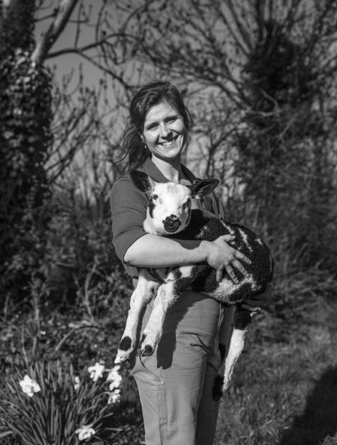 STOEIEN MET KOEIEN OP DIERENDAG IN RUNDVEEMUSEUM