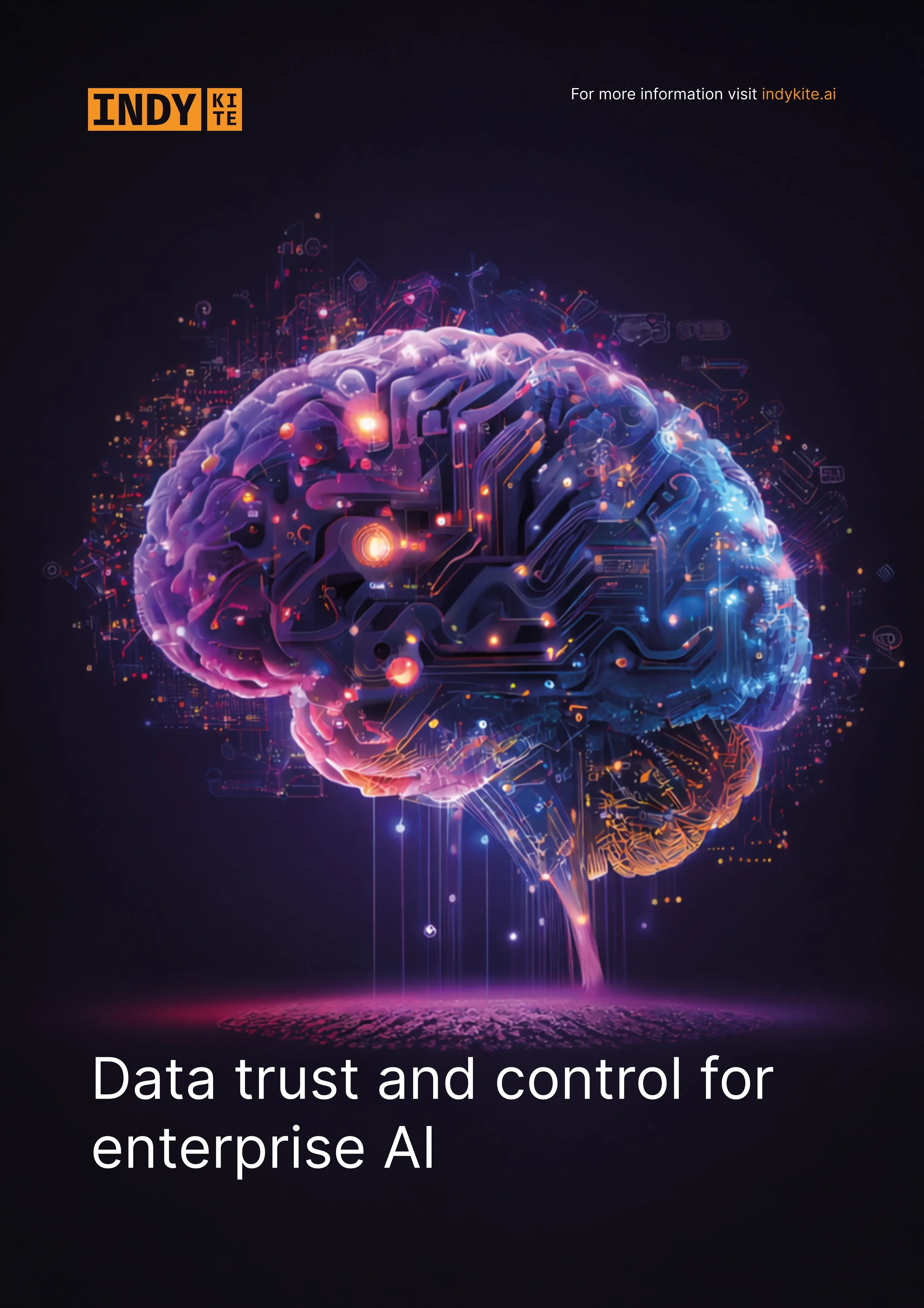 Data trust and control for enterprise AI e-guide cover