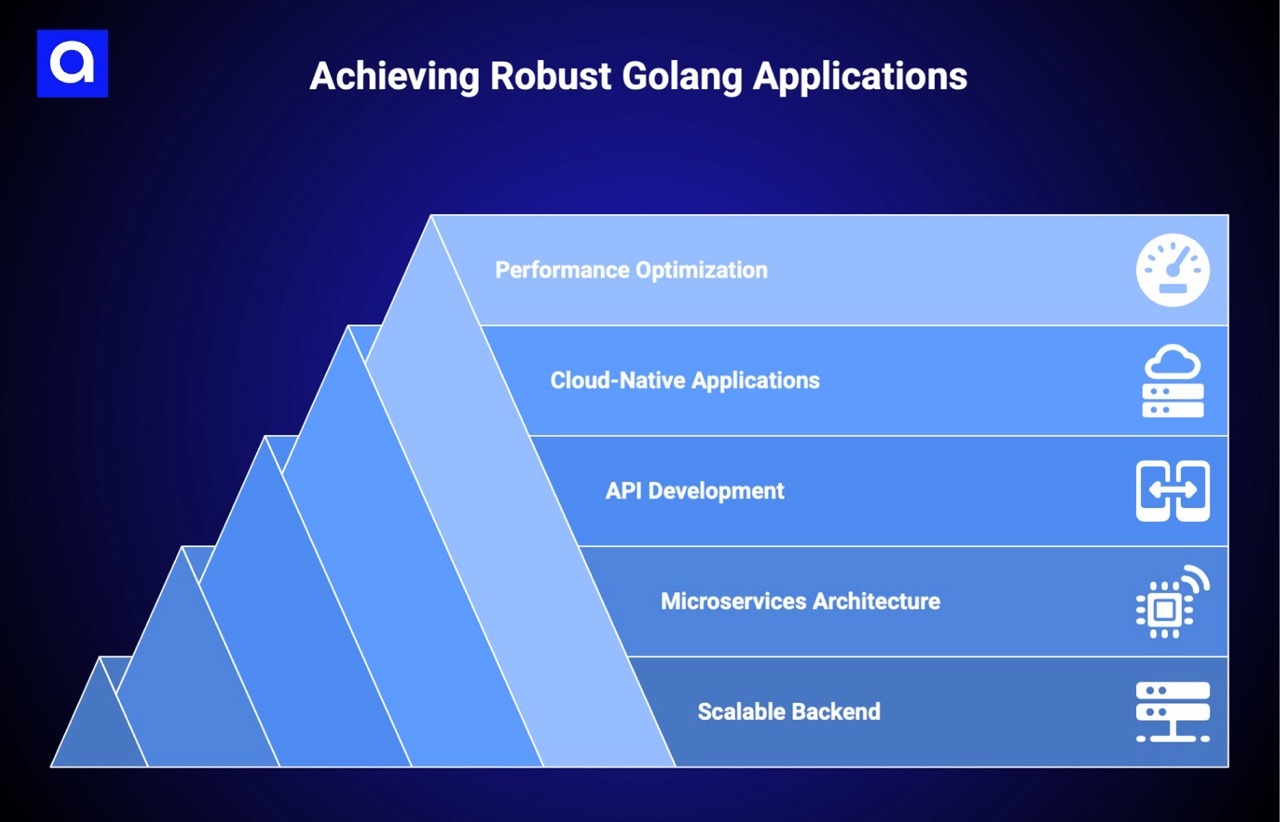CODISM golang development services