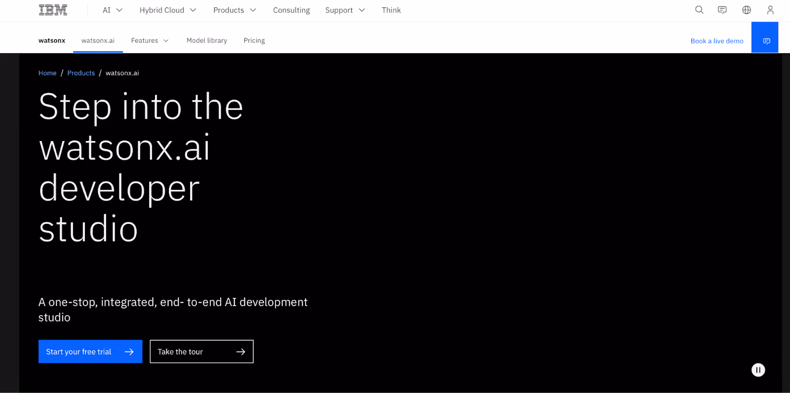 IBM watsonx.ai developer studio