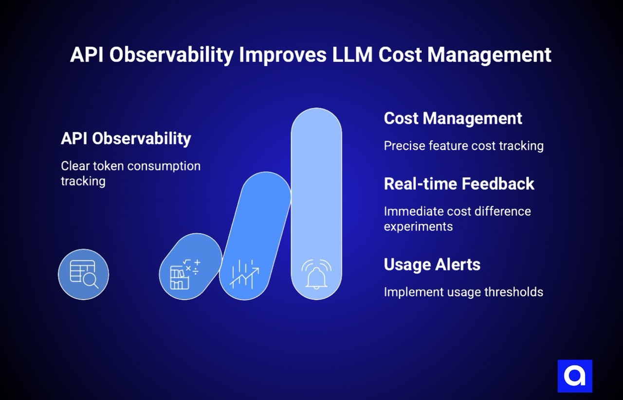 API Observability Improves LLM Cost Management