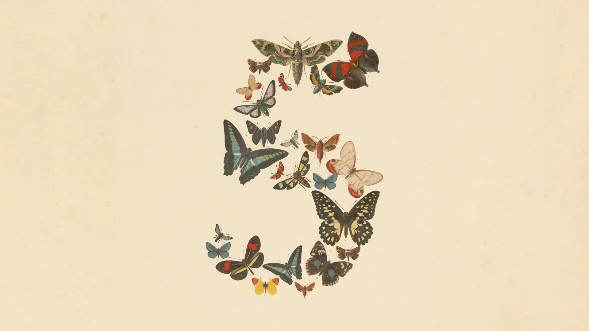 Anthropic launches Claude Fable 5