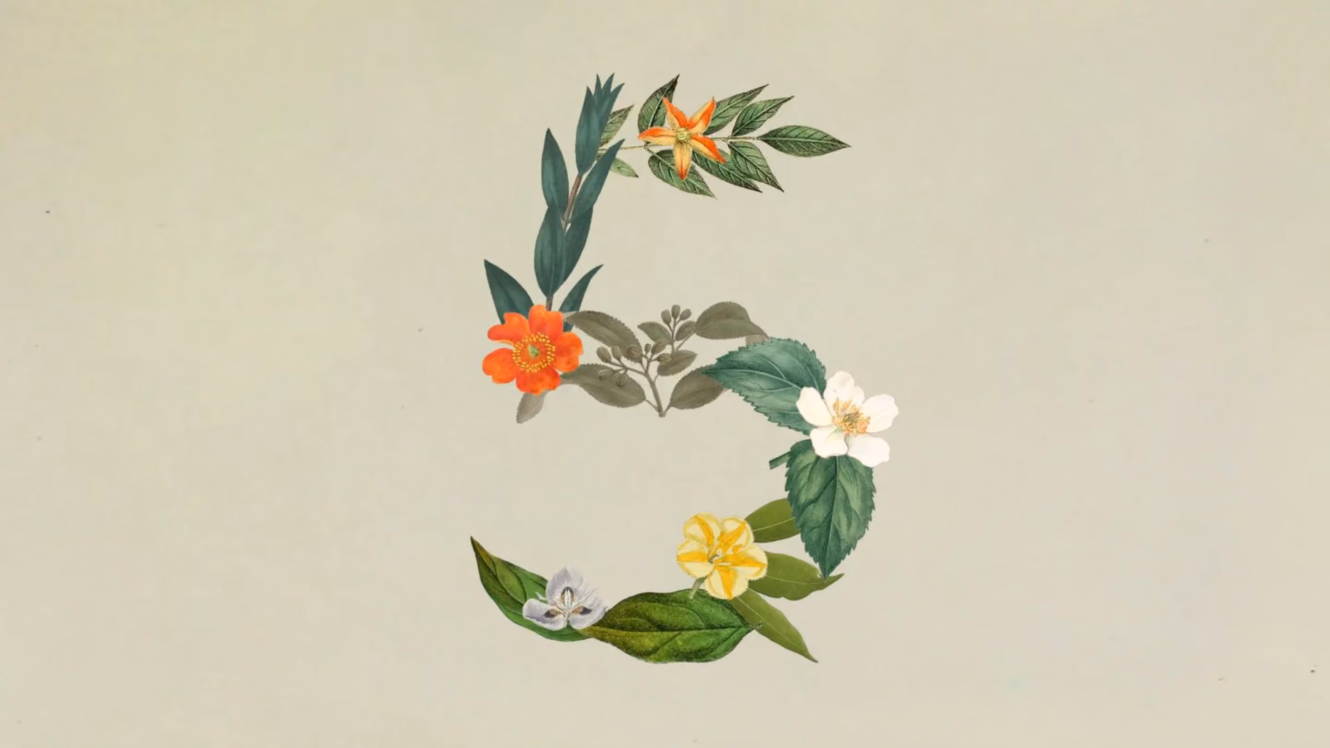 Anthropic launches Claude Sonnet 5