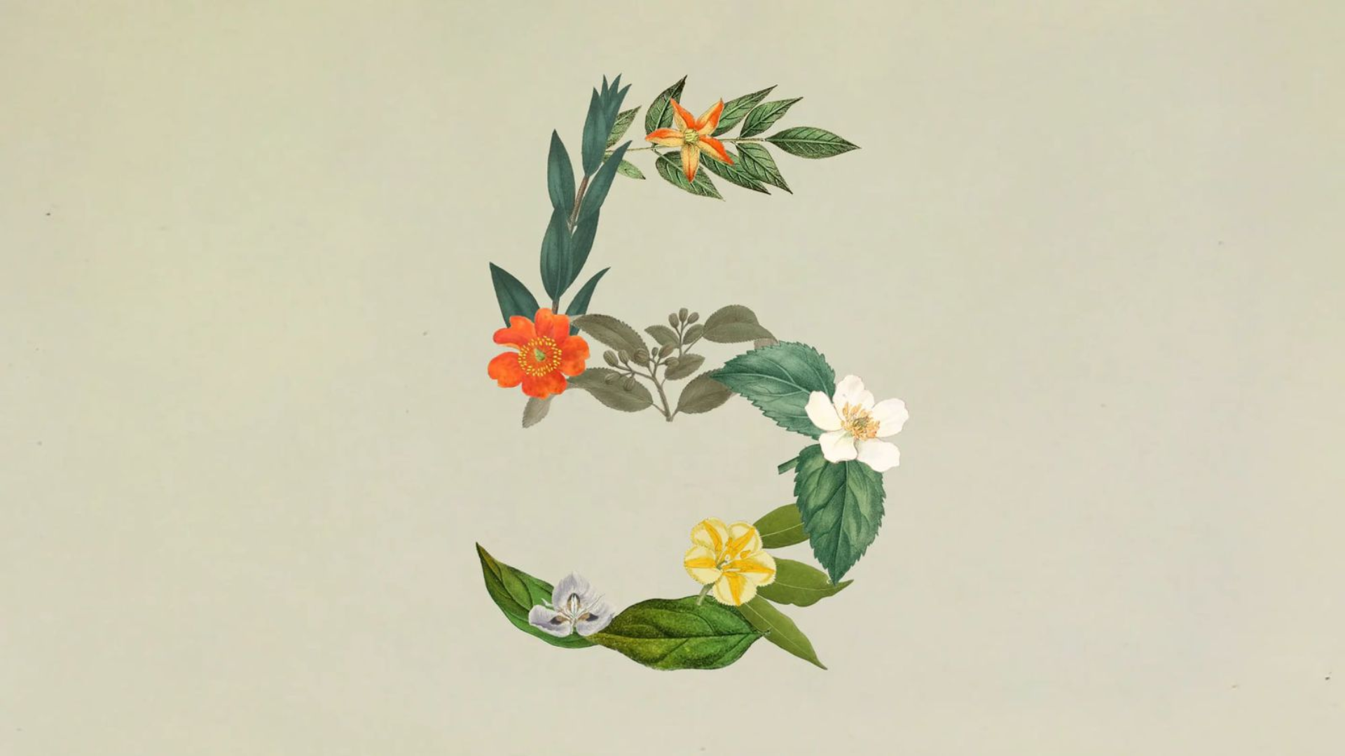 Anthropic launches Claude Sonnet 5