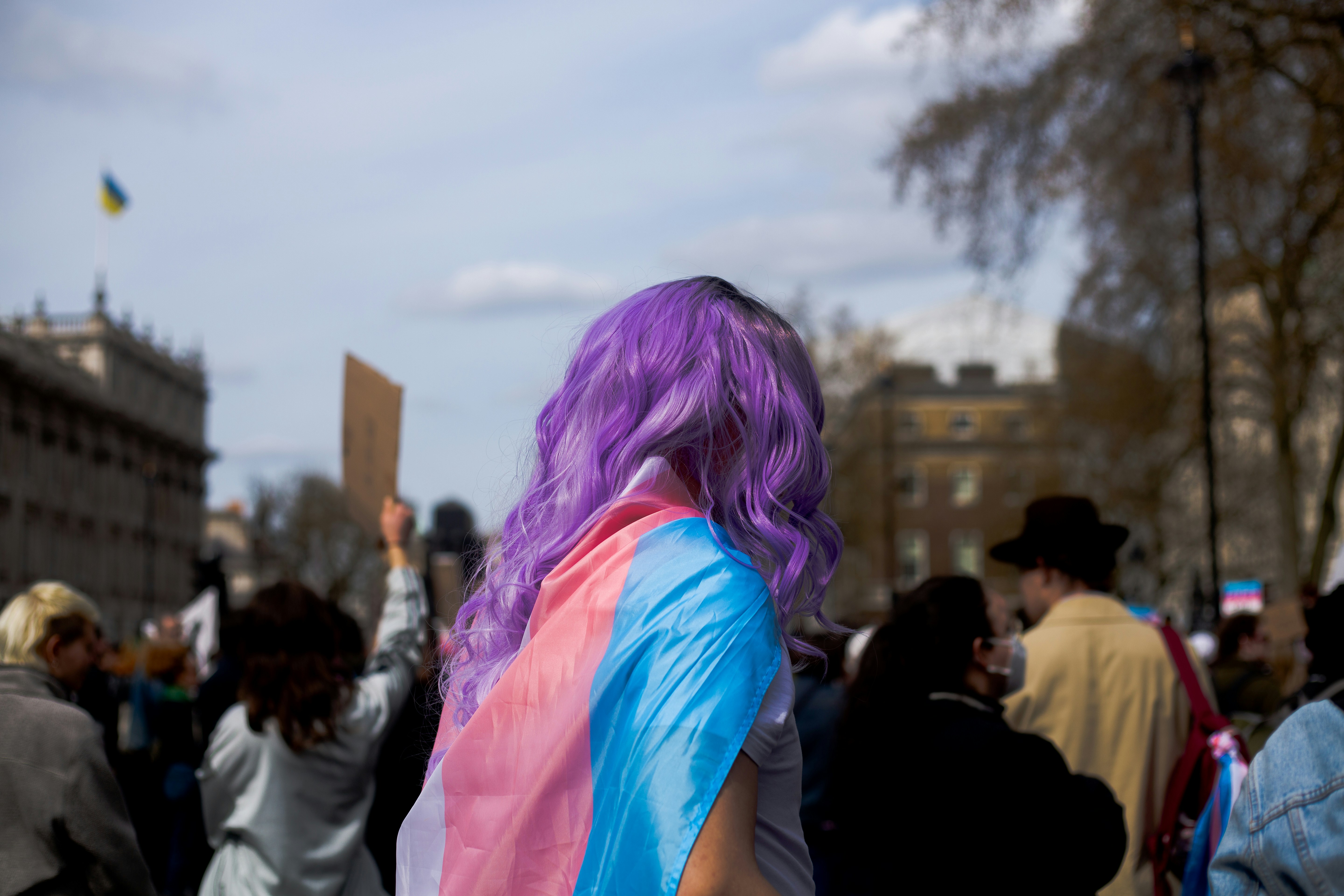 A person with purple hair wrapped in a transgender flag.