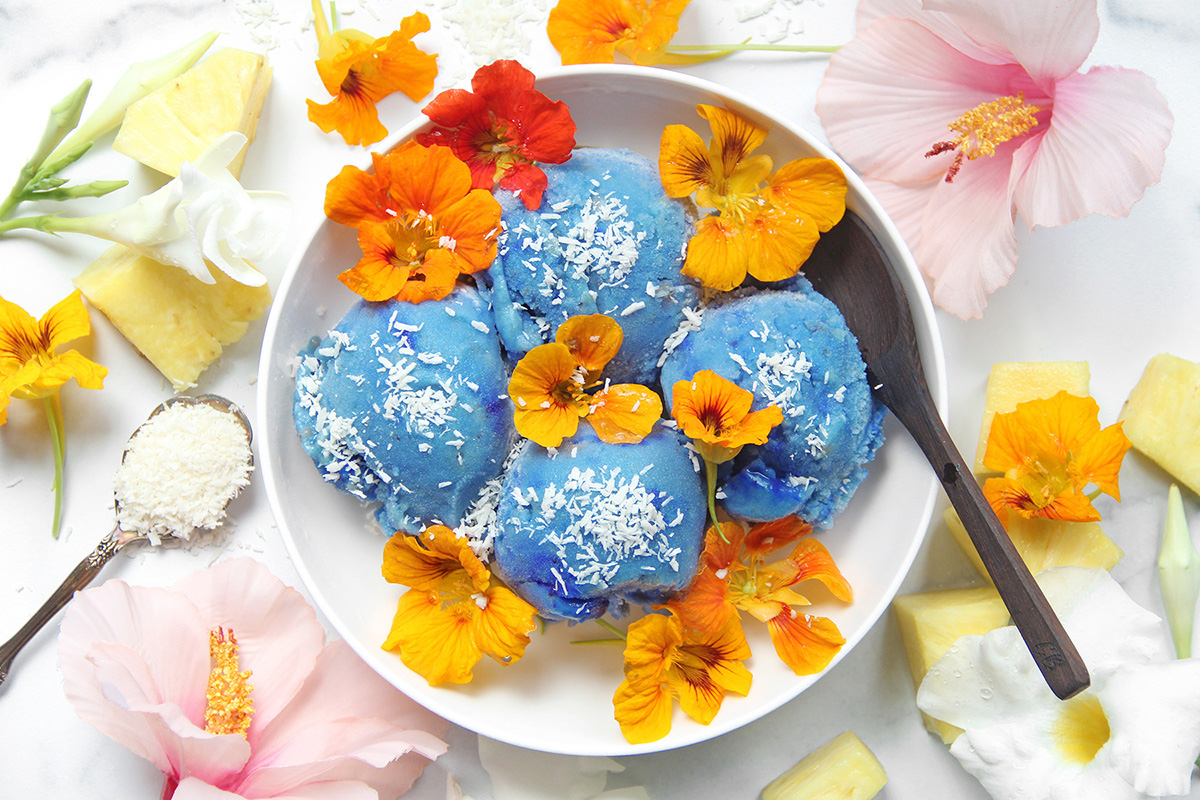 The ULTIMATE Boozy Nicecream Guide