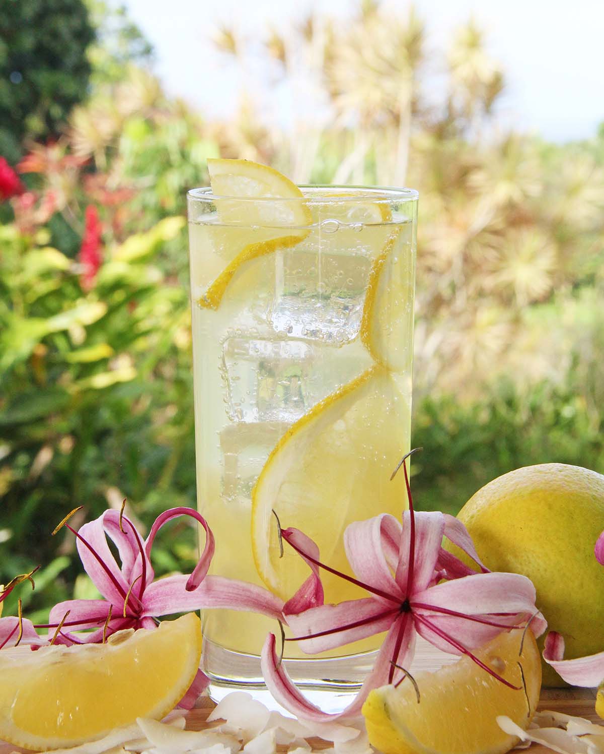 Coconut Rum Ginger Lemonade Fizz