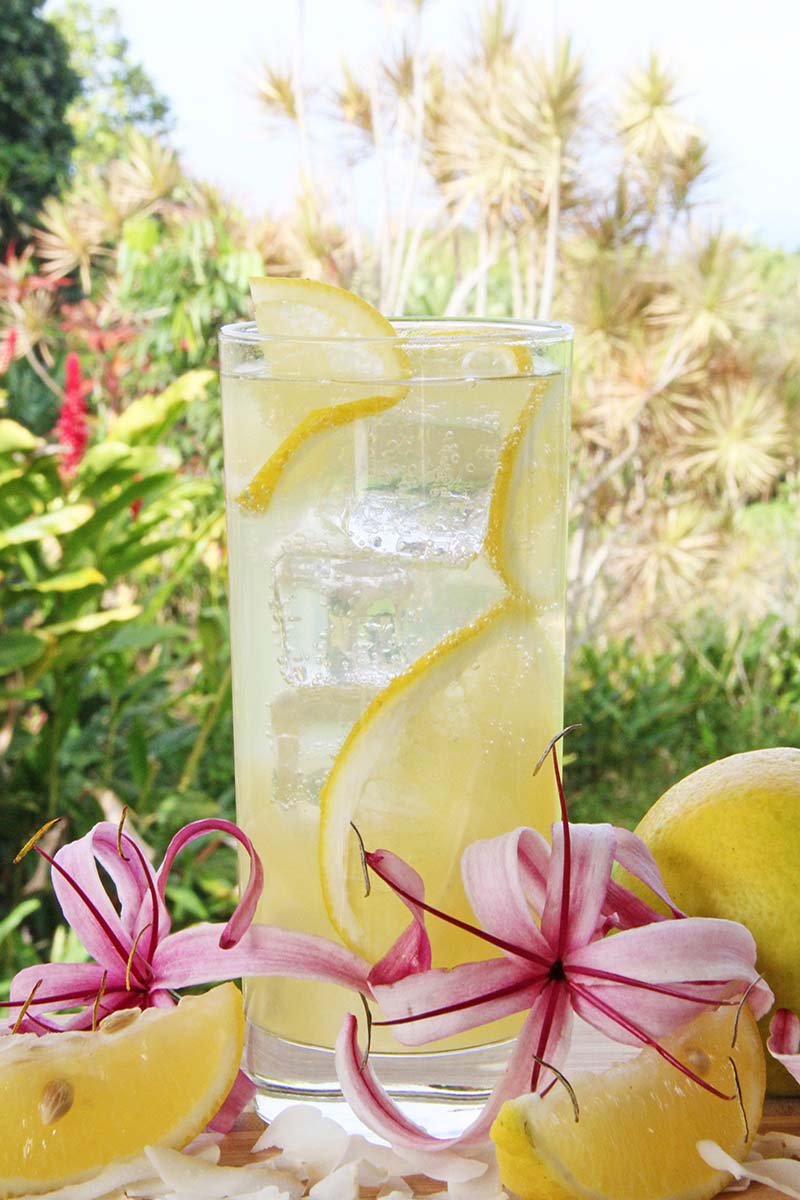 Tall glass of coconut rum lemonade, shown overlooking a tropical garden.