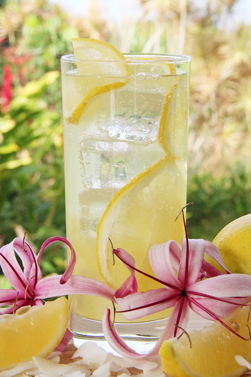 Close-up of a glass of coconut rum lemonade, showing the bubbles and the thin lemon slices woven throughout the ice.