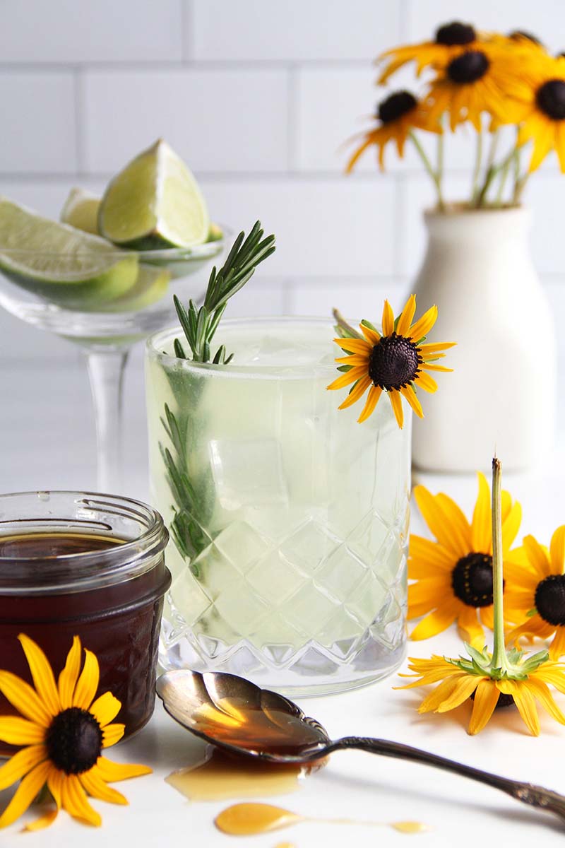 Maple gimlet cocktail, 