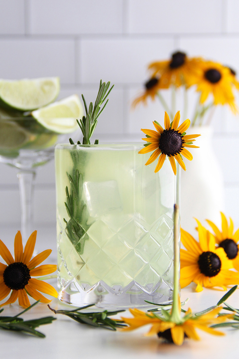 Rosemary gimlet gin cocktail, shown in a white kitchen with fall flowers.