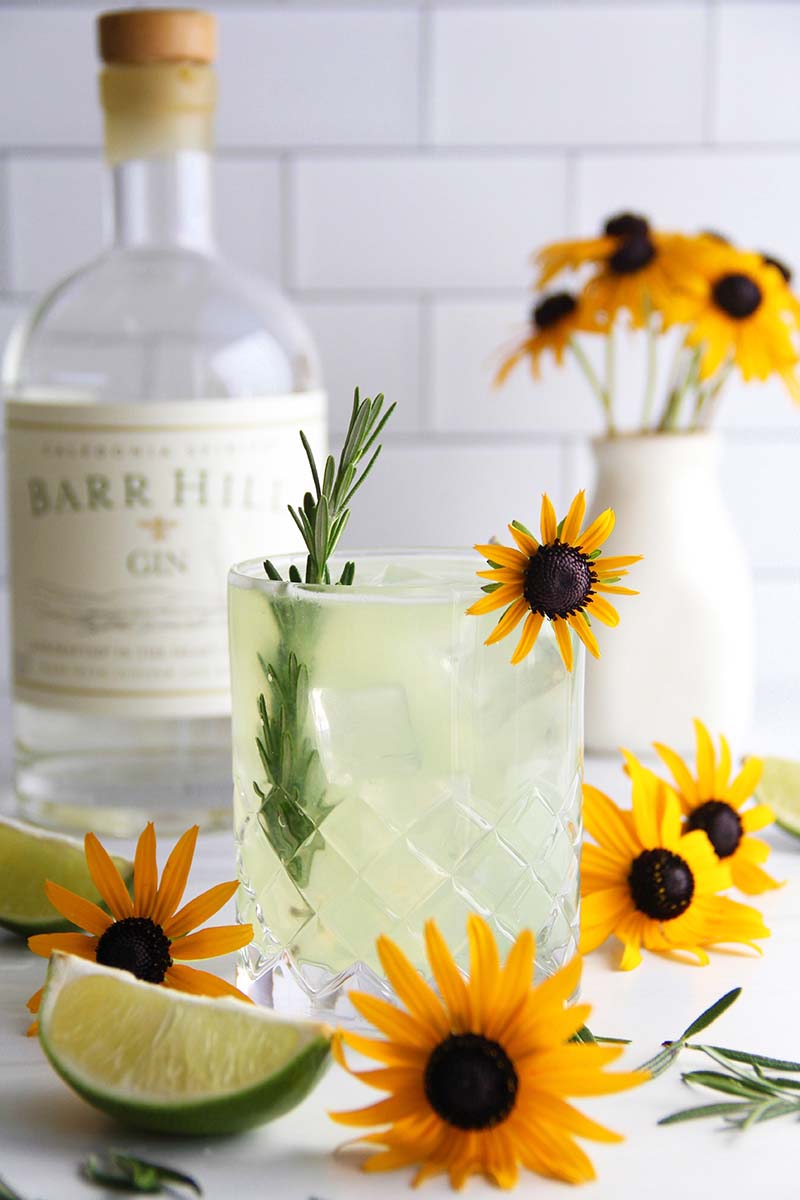 Maple rosemary gimlet cocktail, shown with a bottle of Vermont Barr Hill Gin in the background.