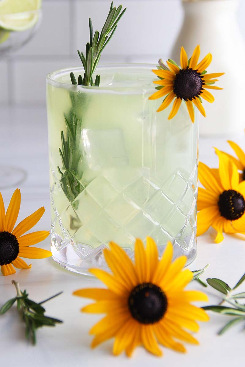 Close-up of a maple rosemary gimlet, showing the light green color.