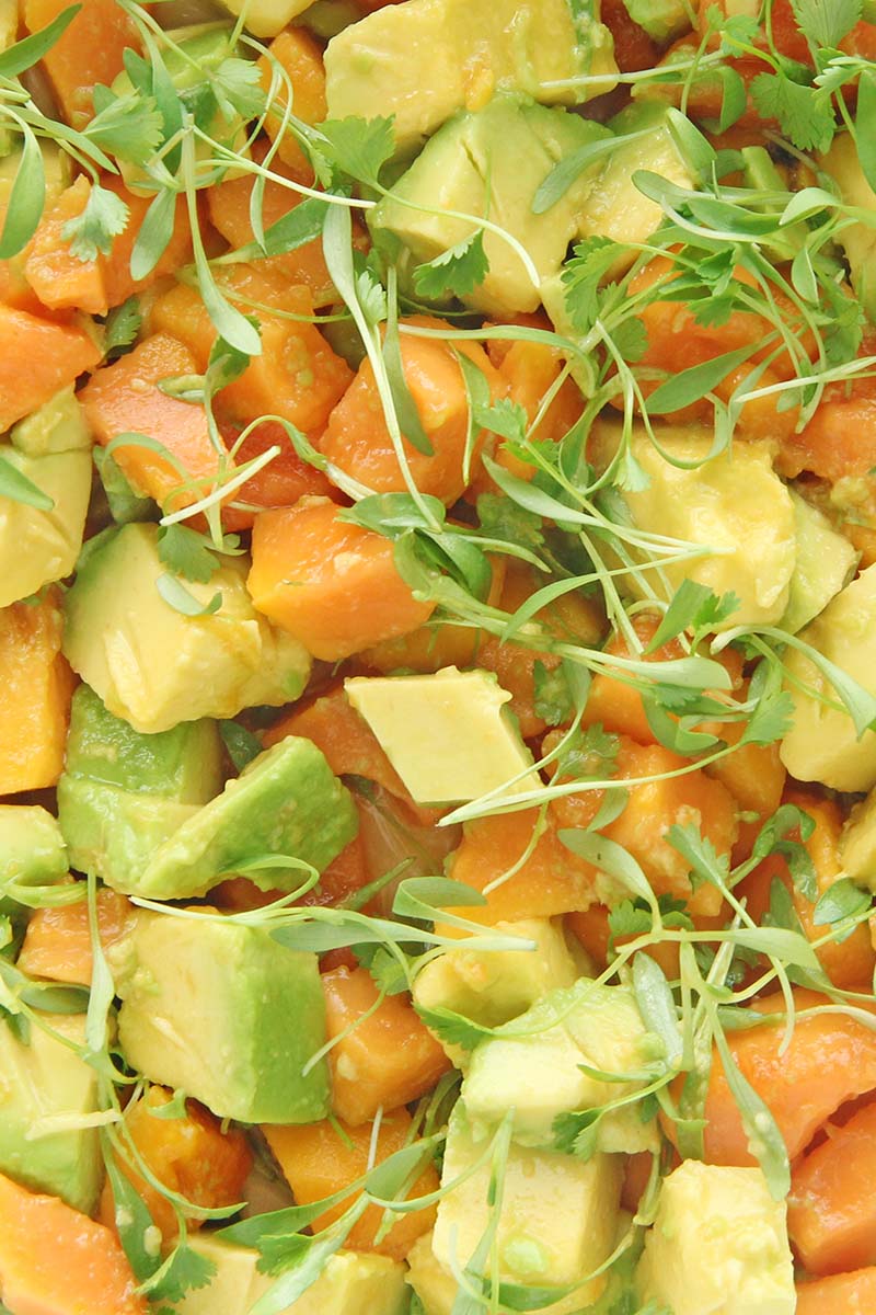 Close-up of avocado papaya salsa, showing avocado pieces, papaya pieces, and fresh cilantro.