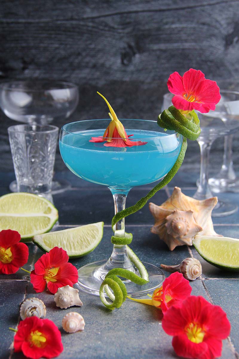 Vibrantly and naturally colored Blue Coconut Daiquiri made with blue spirulina, shown in a coupe glass garnished with lime peel.