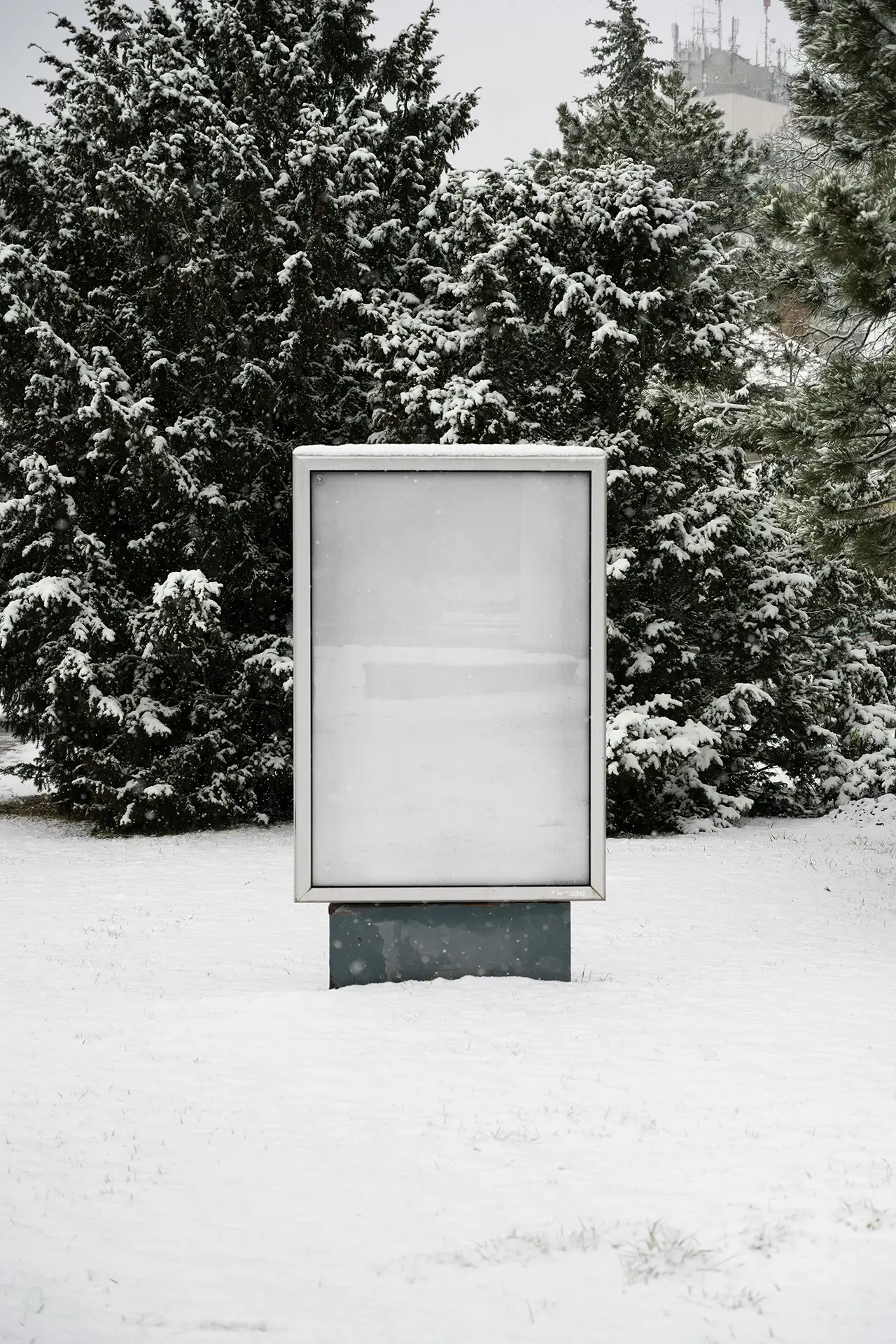 Blank vertical poster mockup in a snowy outdoor setting with pine trees in soft diffused overcast light.
