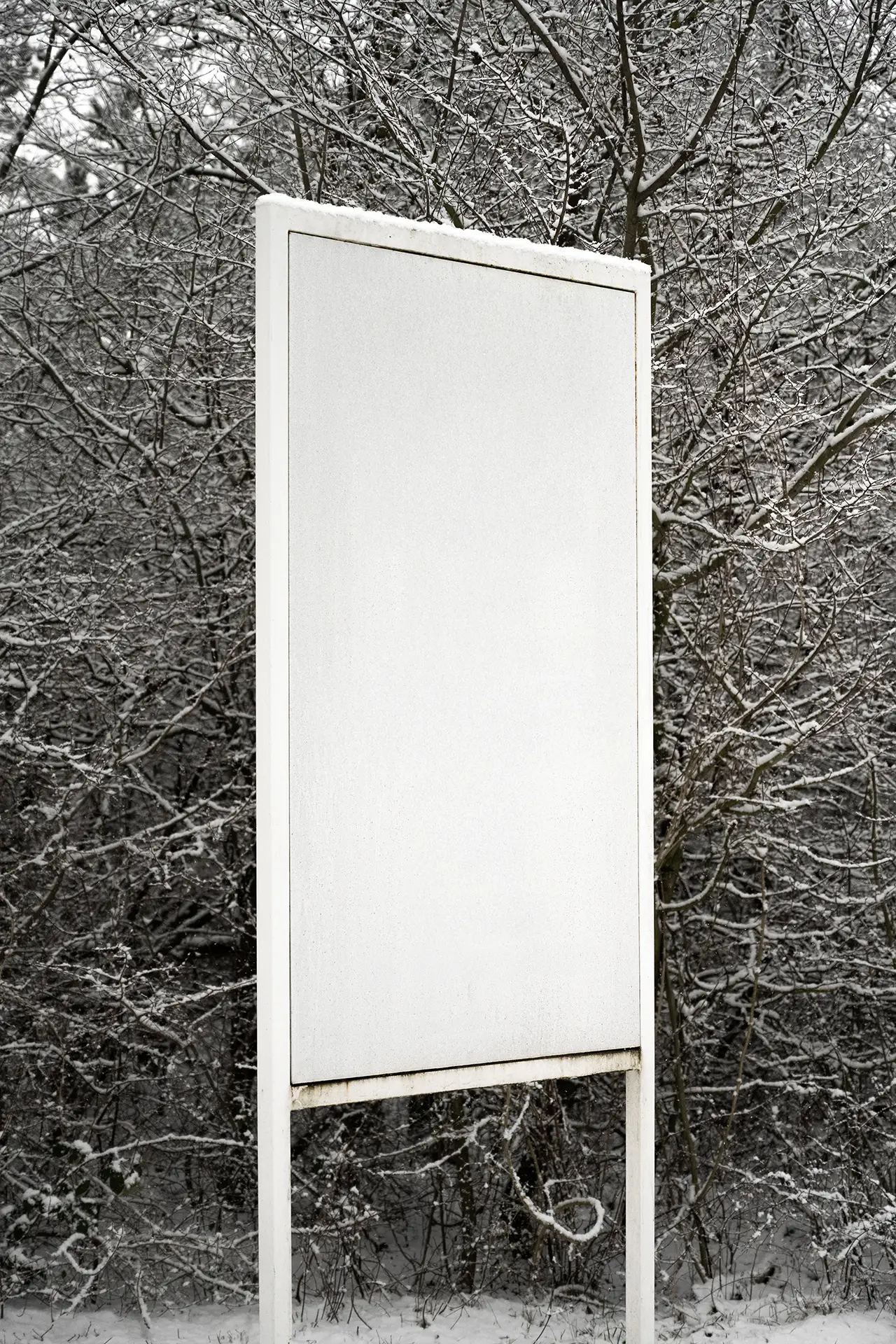 Blank vertical outdoor billboard mockup surrounded by snowy trees, photographed in soft diffused overcast light.