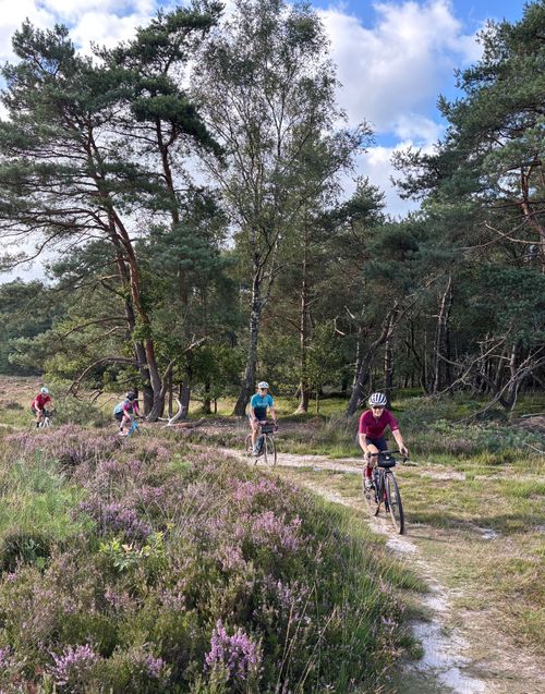 Gravel Queens: De Veluwe!
