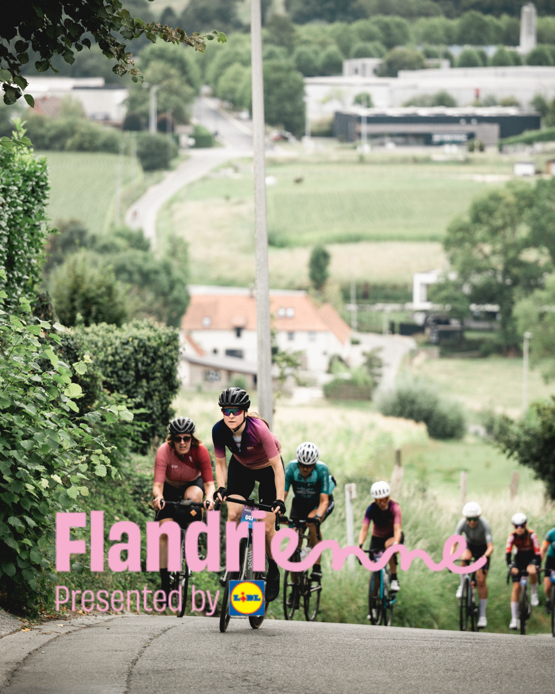 Flandrienne by Lidl