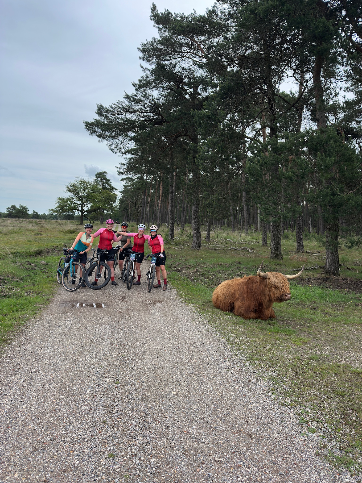 Gravel Queens: De Veluwe