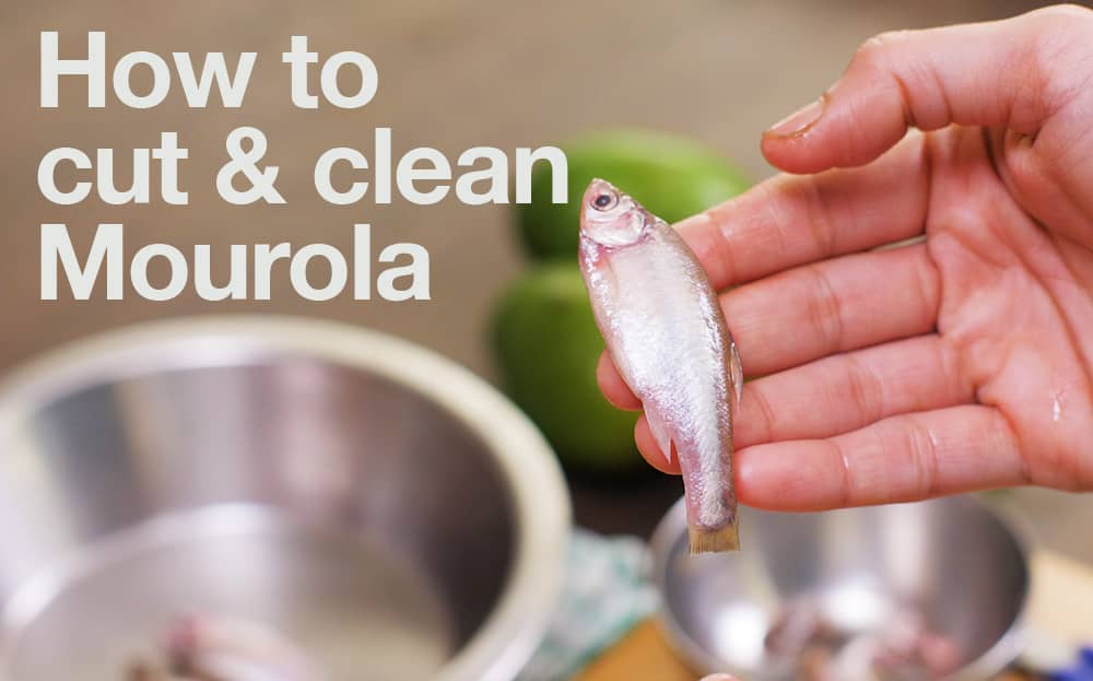 Picture of a mourola fish held out on the palm of a hand with green mangoes in the background