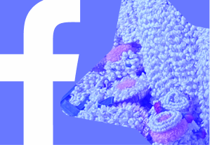 Facebook logo partially overlaid on a blue background with popcorn and cupcakes inside a star shape.