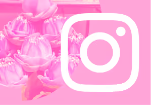 White Instagram logo on pink background with lotus flower images on the left side.