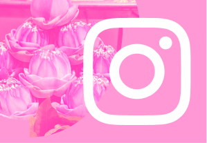 White Instagram logo on pink background with lotus flower images on the left side.
