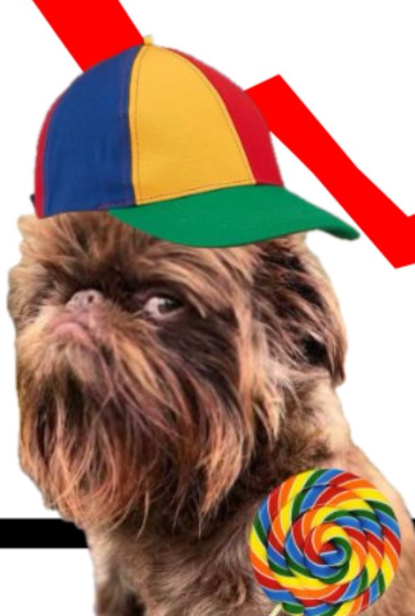 cute dog