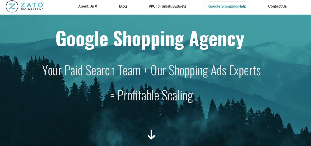 google shopping agency