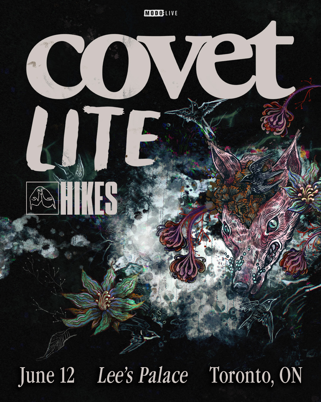 Covet w/ Lite & Hikes