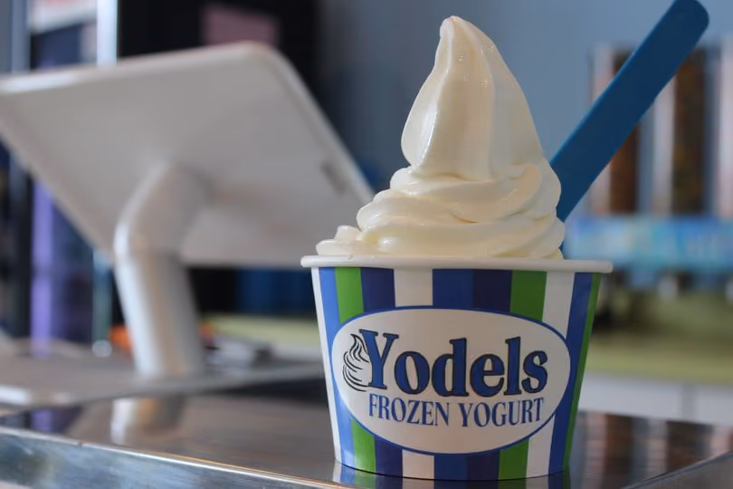 frozen yogurt flavors
