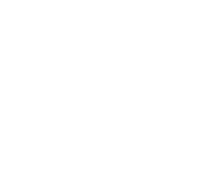 Toyota logo - Petrus Communications