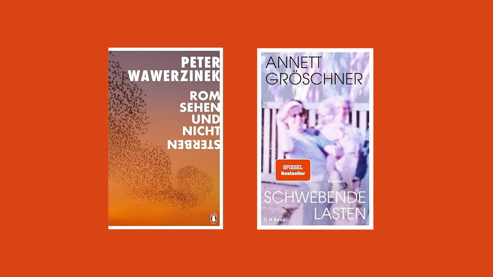 Cover "Rom sehen und nicht sterben" und "Schwebende Lasten"