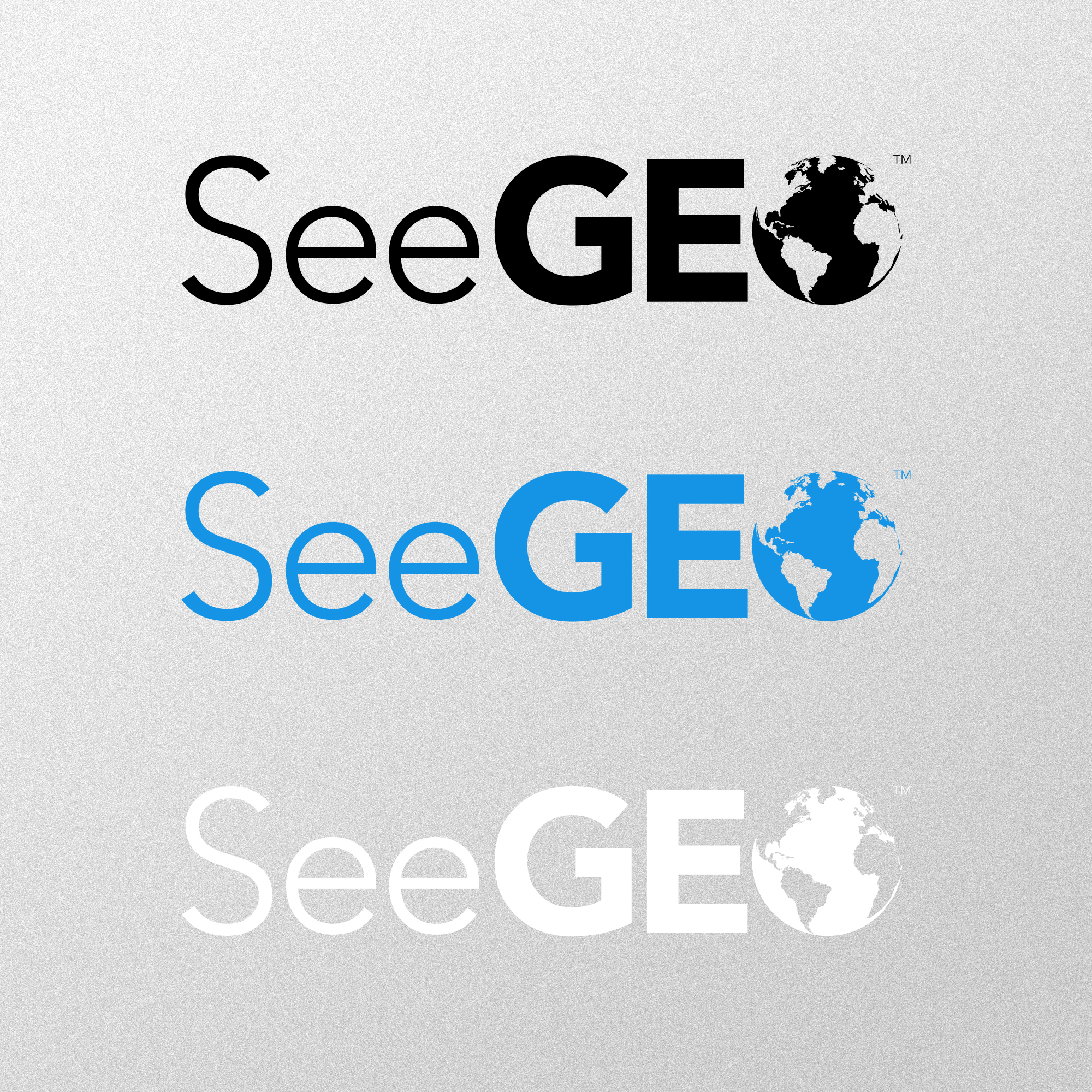 A logo for a product called SeeGEO. The "O" is a globe. The logo is depicted in black, aqua blue, and white.