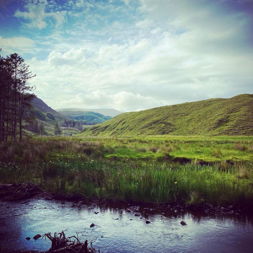 All About the Uplands