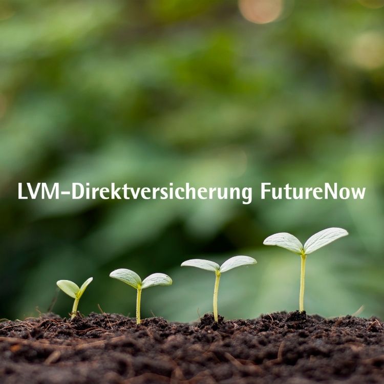 Endmark Project – FUTURENOW