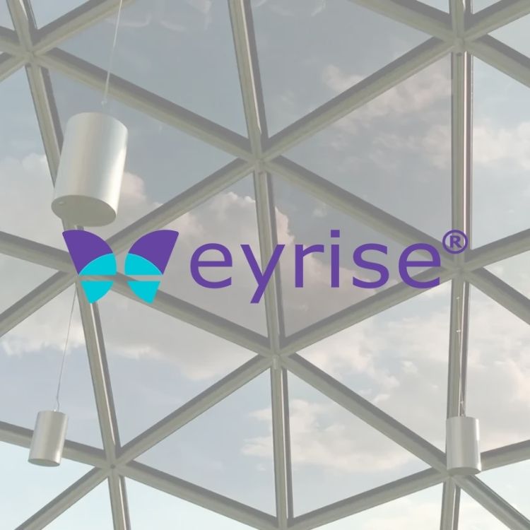 Endmark Project – EYRISE