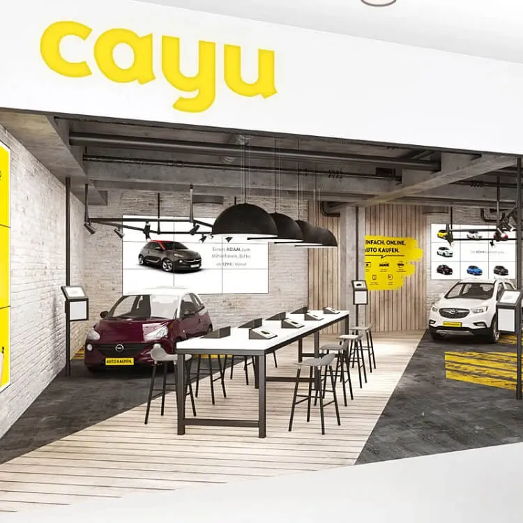 Endmark Project – CAYU