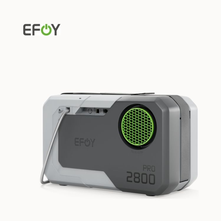 Endmark Project – EFOY