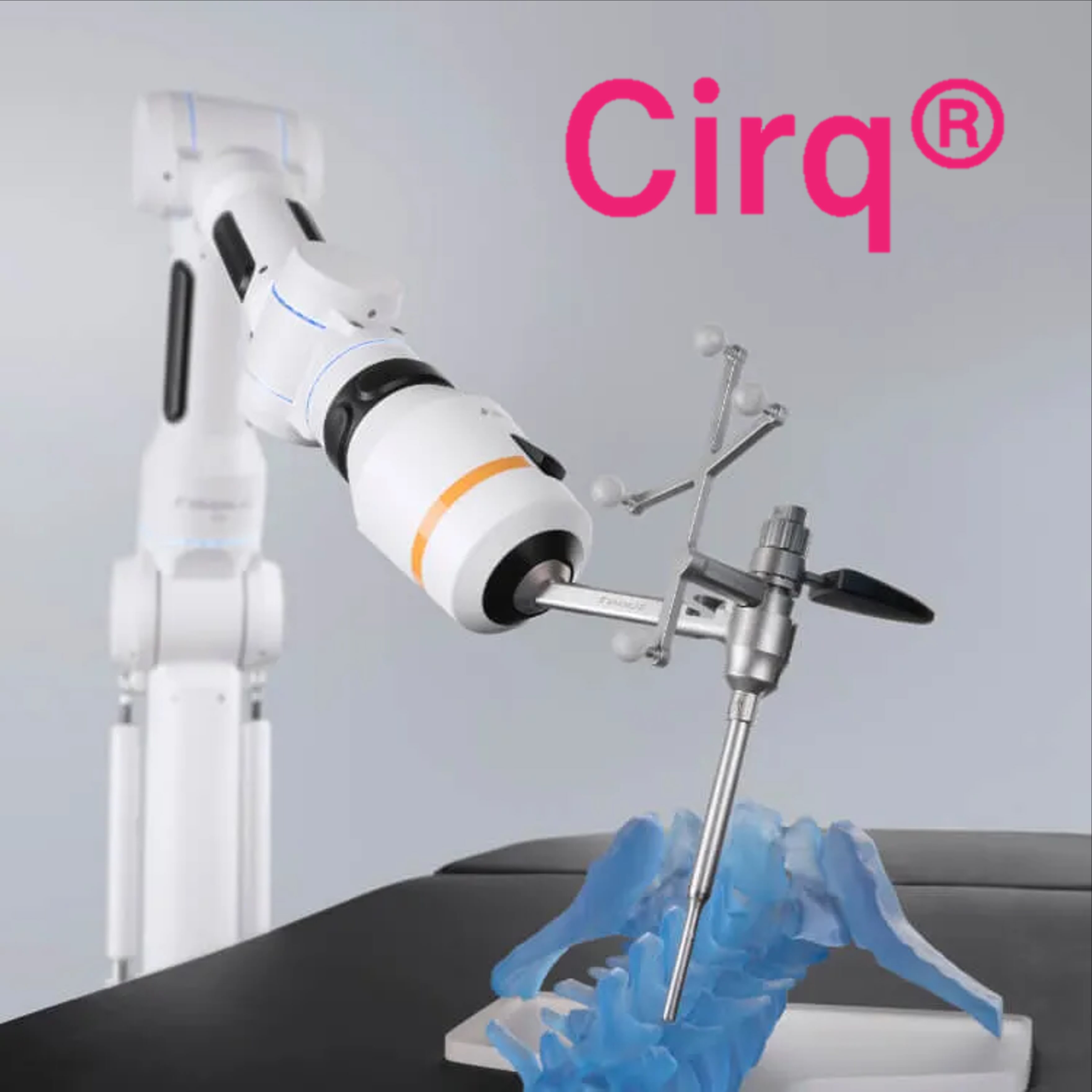 Endmark Project – CIRQ