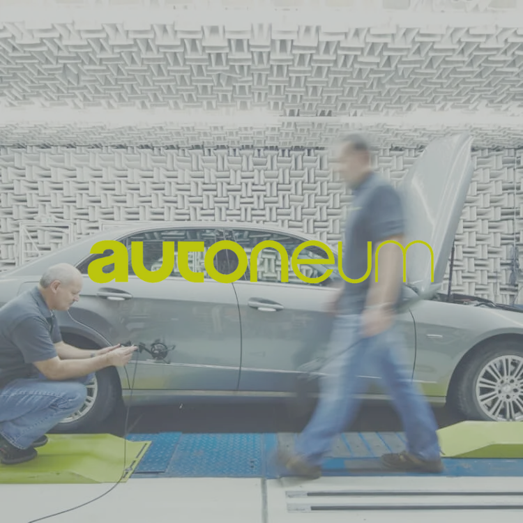 Endmark Project – AUTONEUM