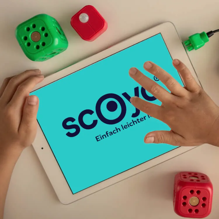 Endmark Project – SCOYO