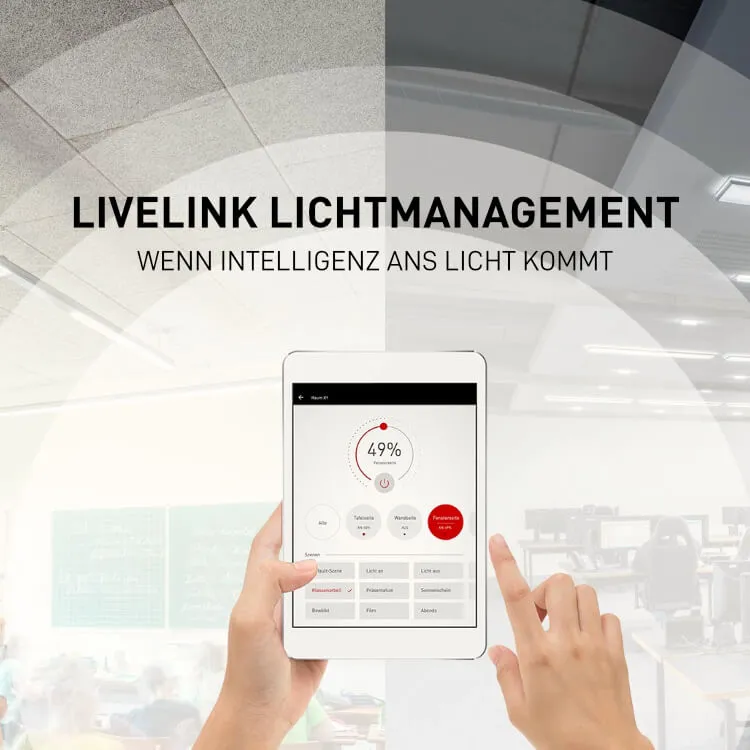 Endmark Project – LIVELINK