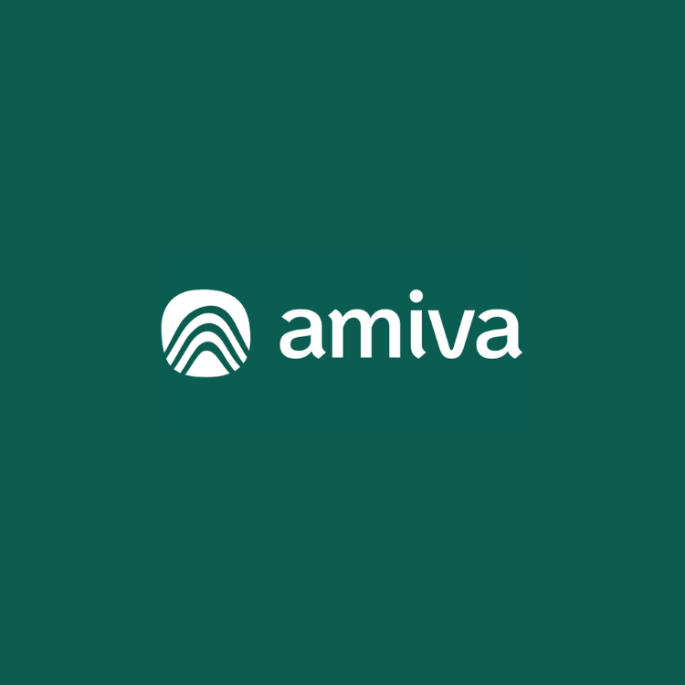 Endmark Project – AMIVA