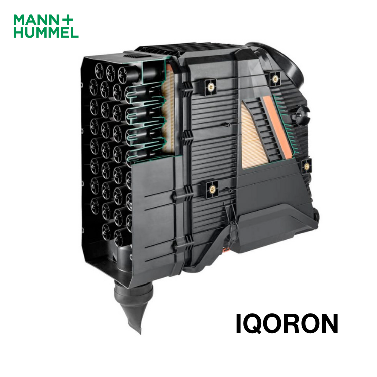 Endmark Project – IQORON