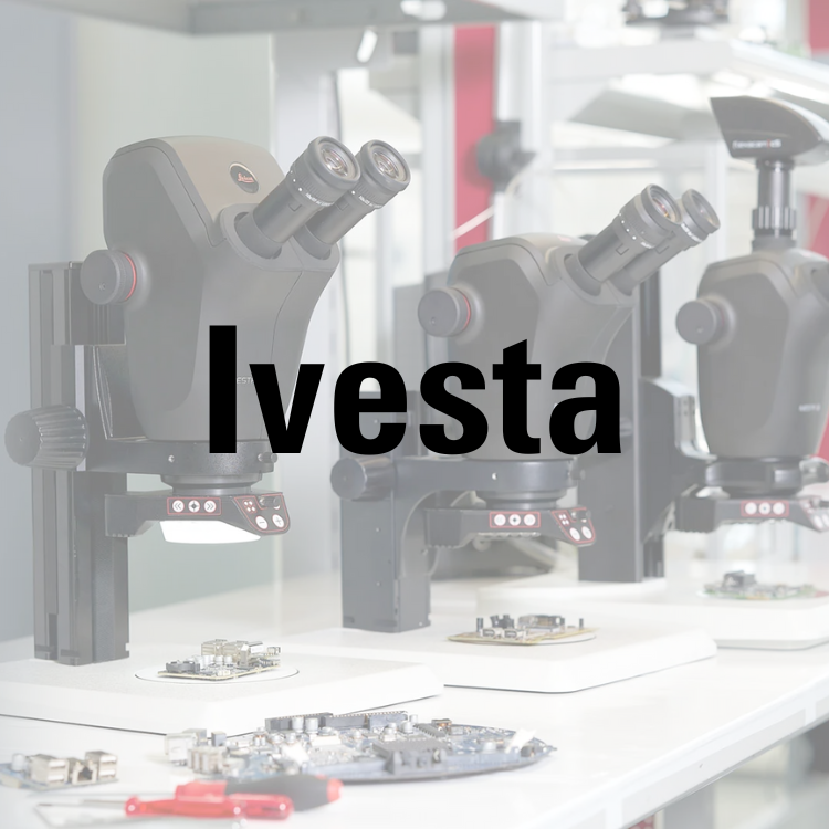 Endmark Project – IVESTA