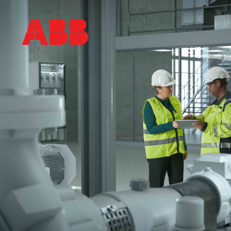 Endmark Project – ABB