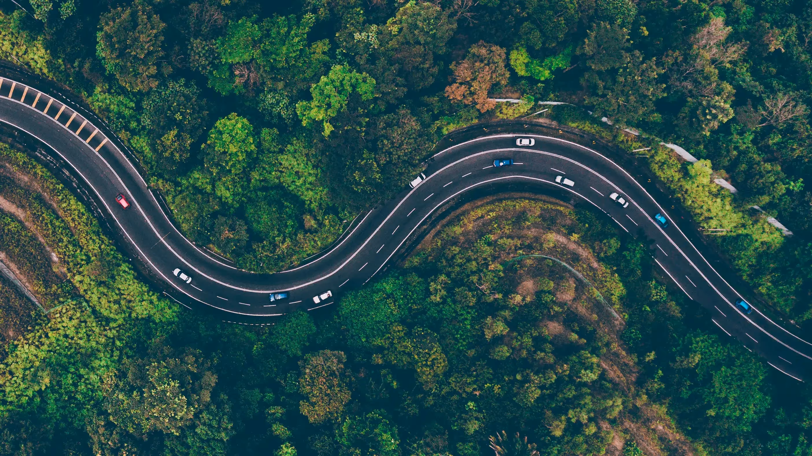 Aerial view of a winding road through a green forest - UserVoice Images